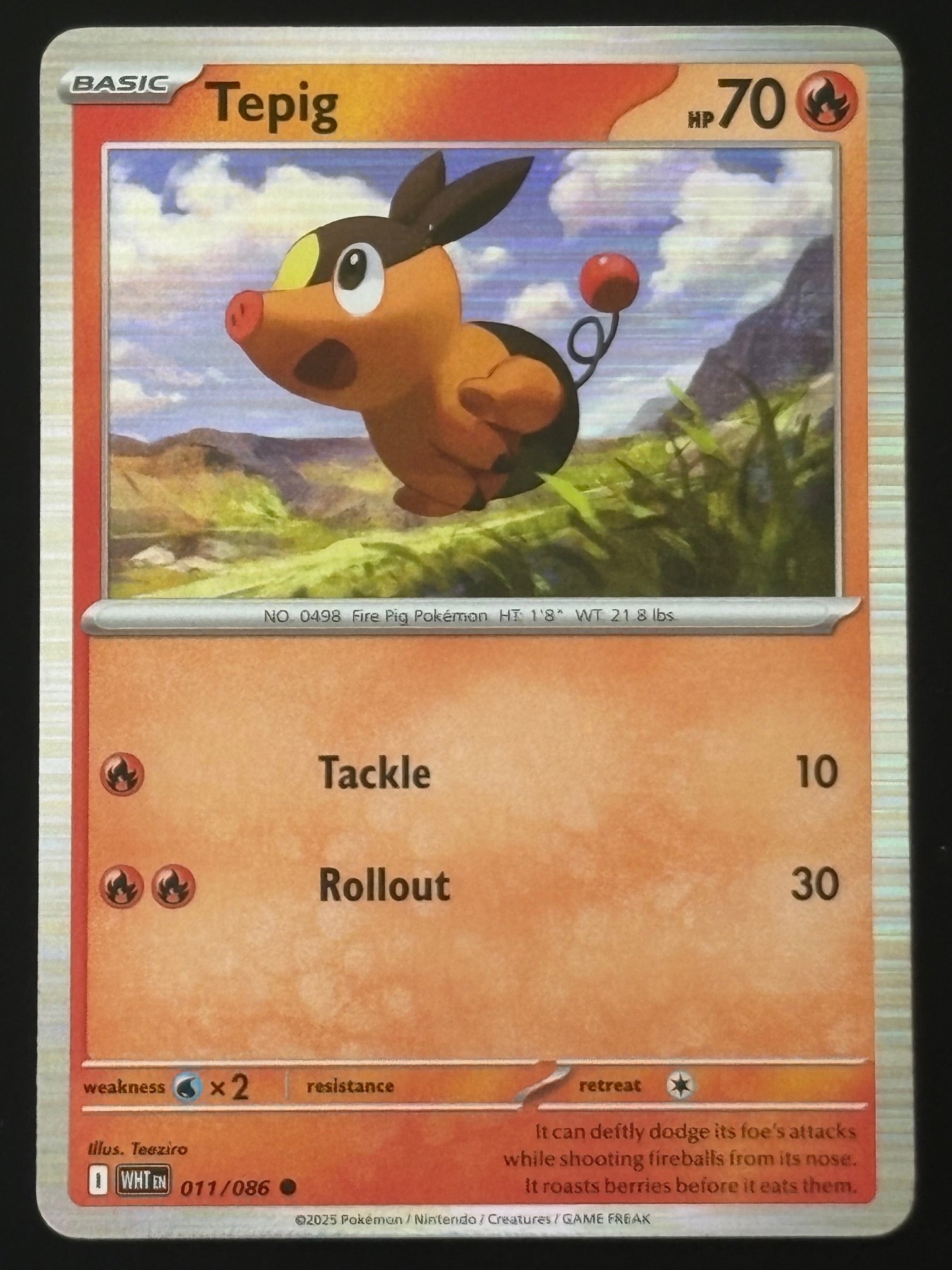 Tepig 011/086 WHT ENG 2025 (NM)