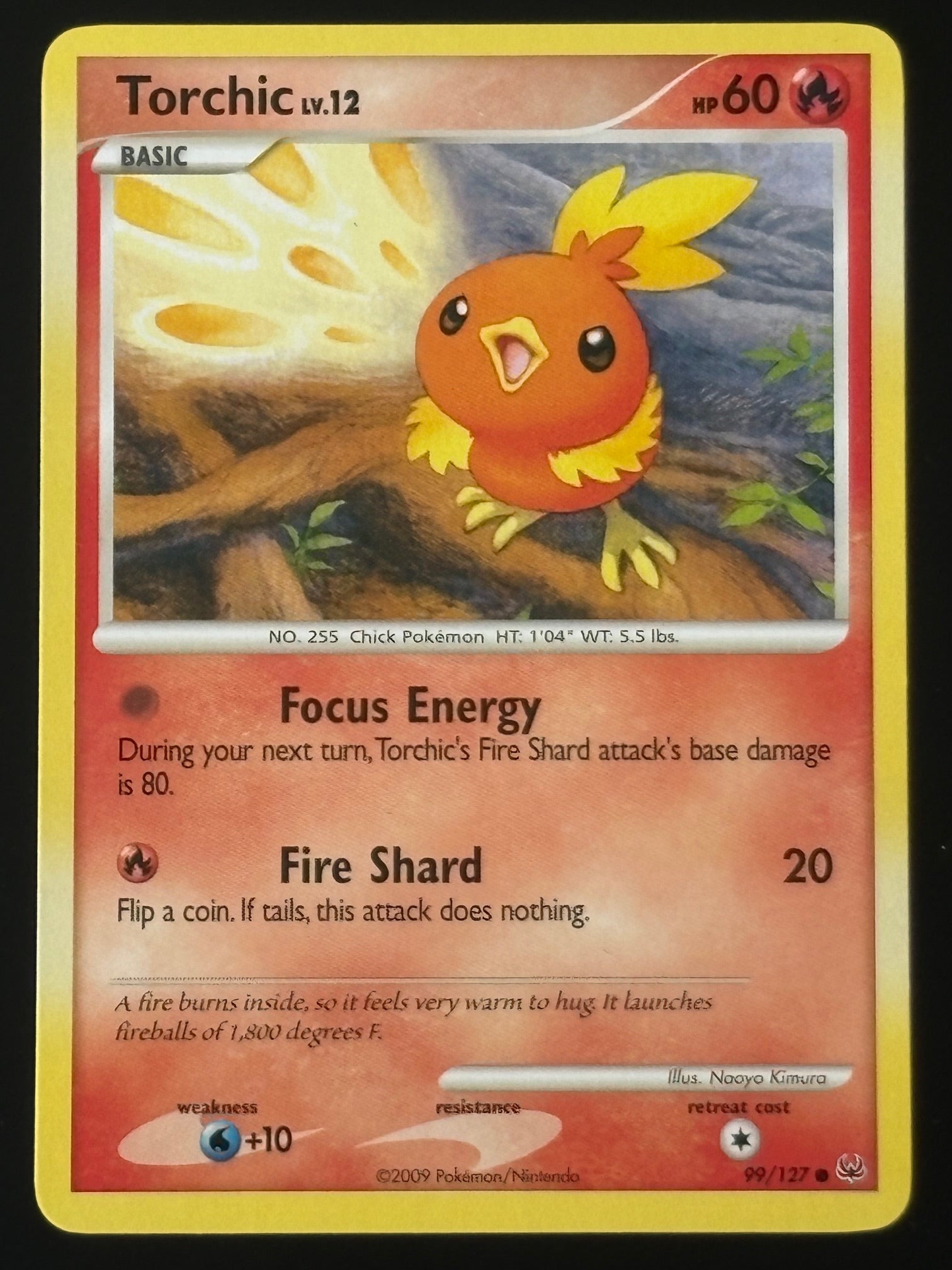 Torchic Lv.12 99/127 ENG 2009 (NM)