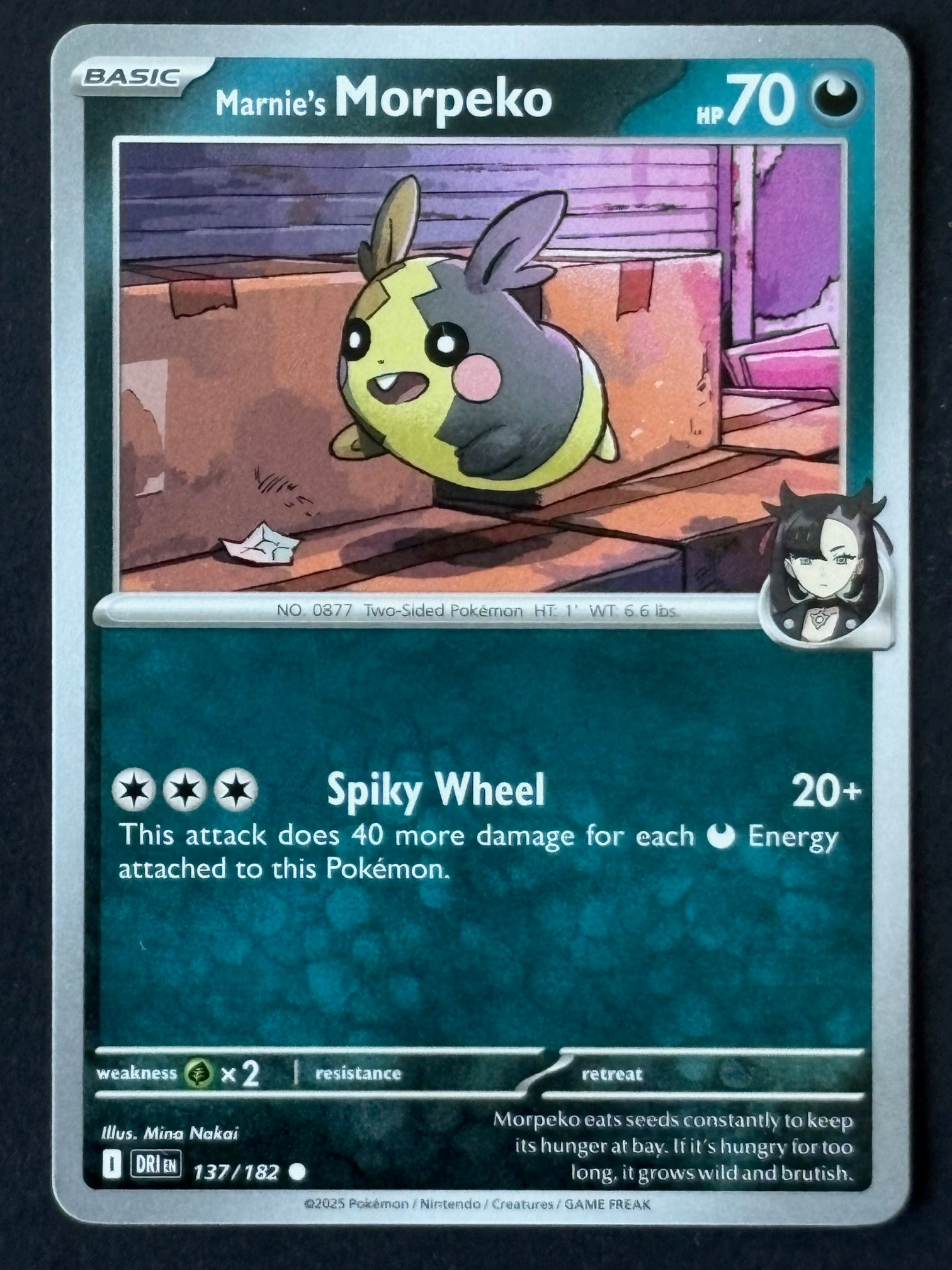 Marnie's Morpeko 137/182 DRI ENG 2025 (NM)