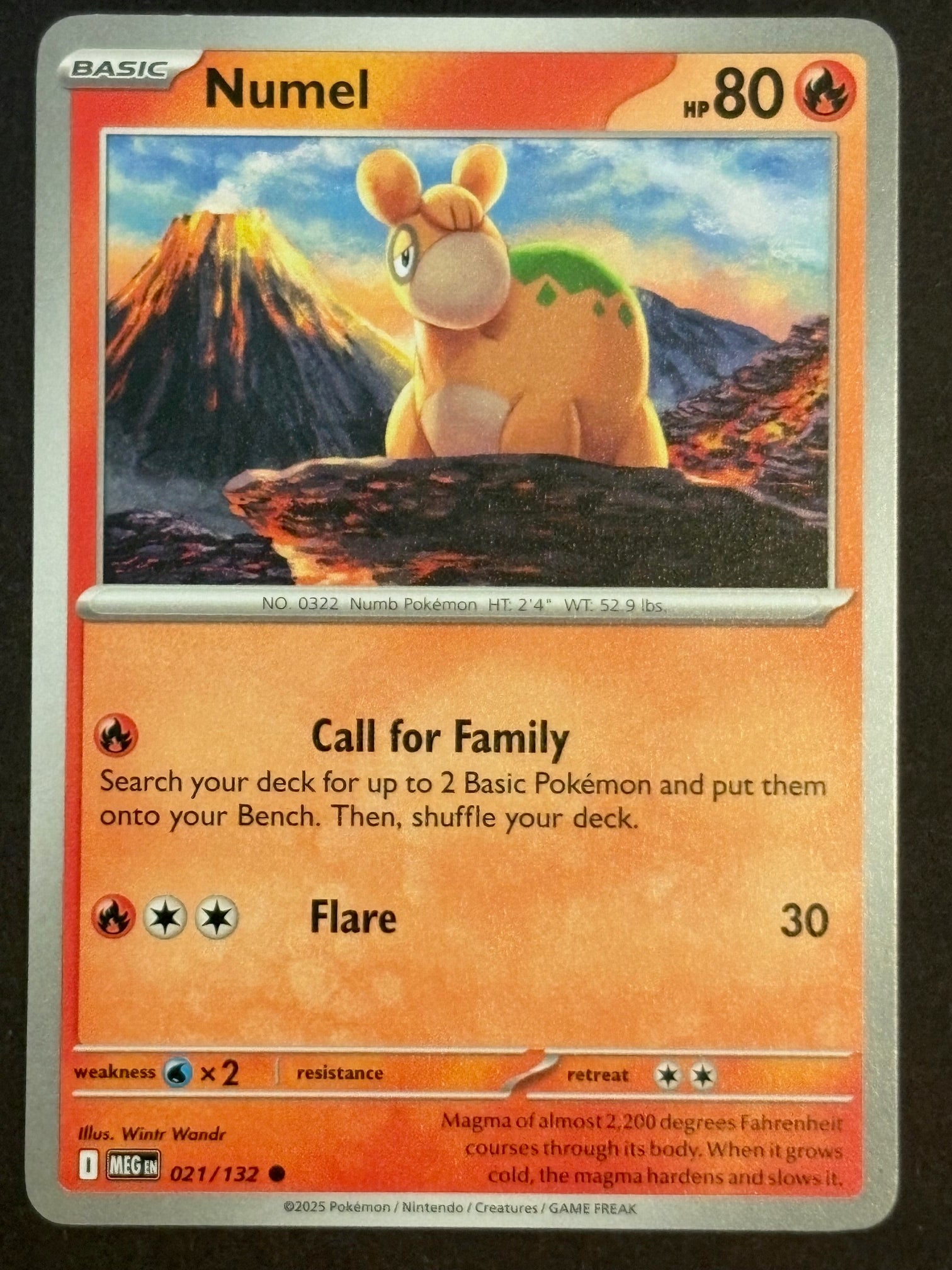 Numel 021/132 MEG ENG 2025 (NM)