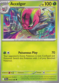 Accelgor 013/159 JTG ENG 2025 (NM)