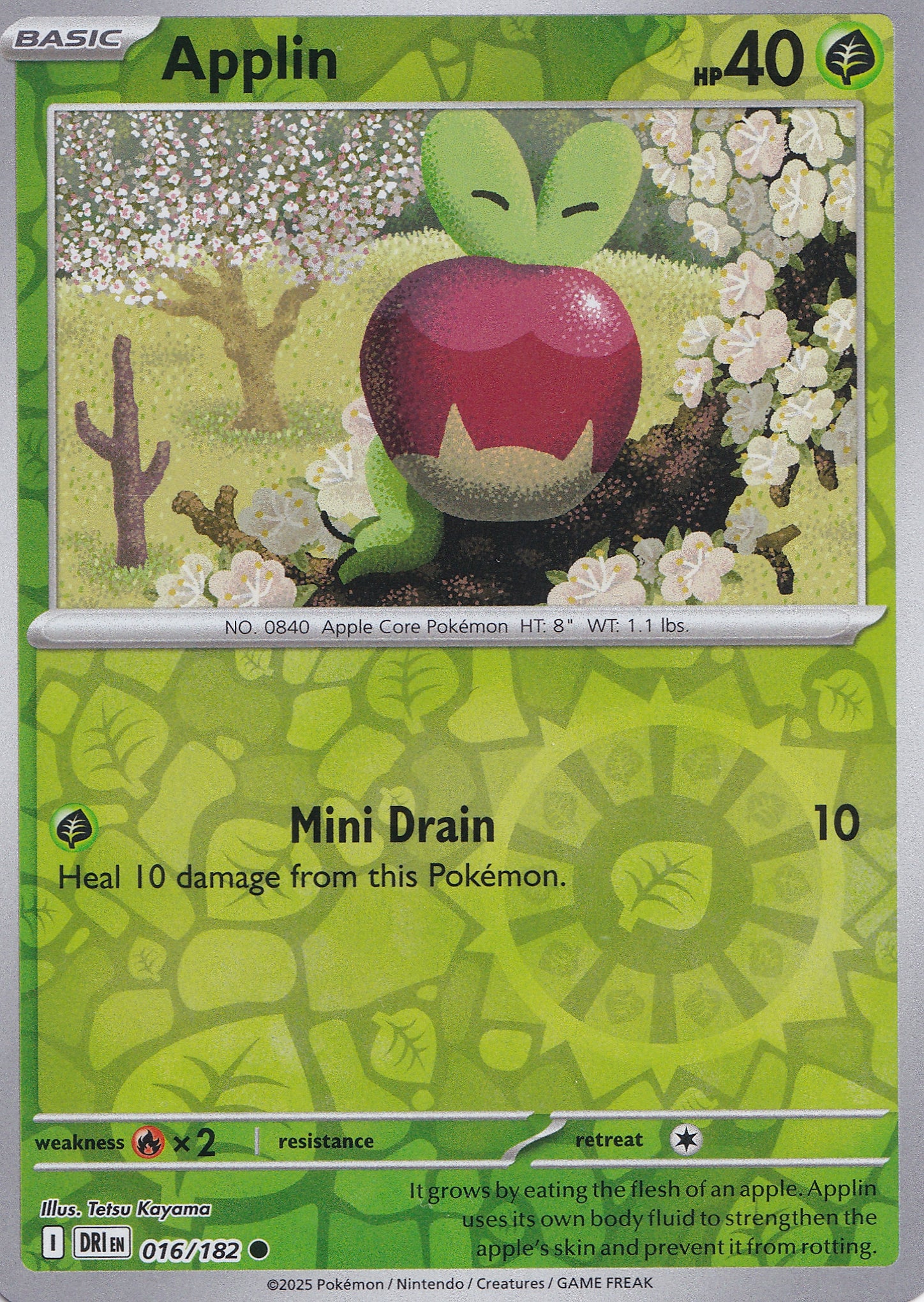 Applin 016/182 DRI ENG 2025 (NM)
