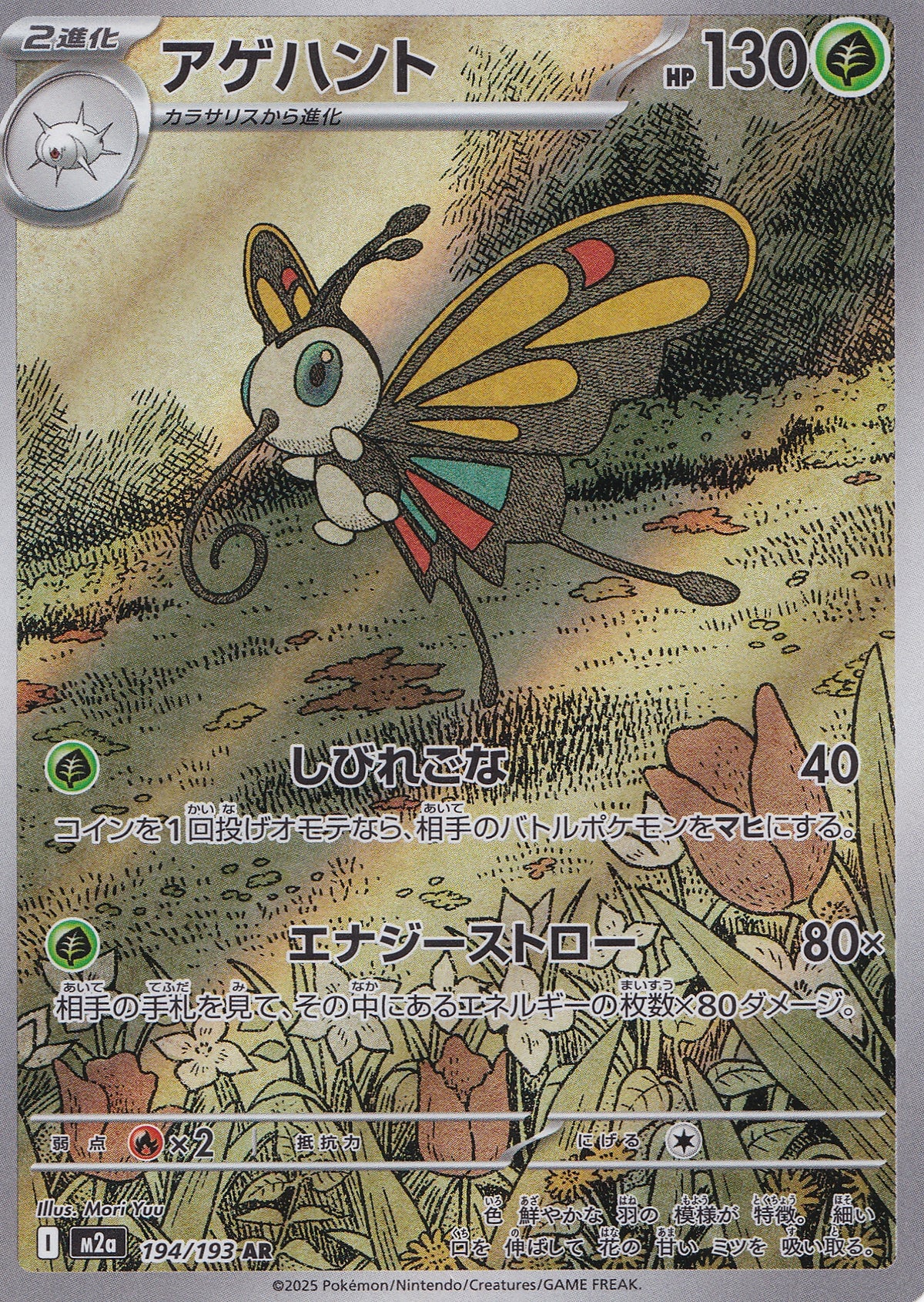 beautifly-194-193-m2a-nm.jpg