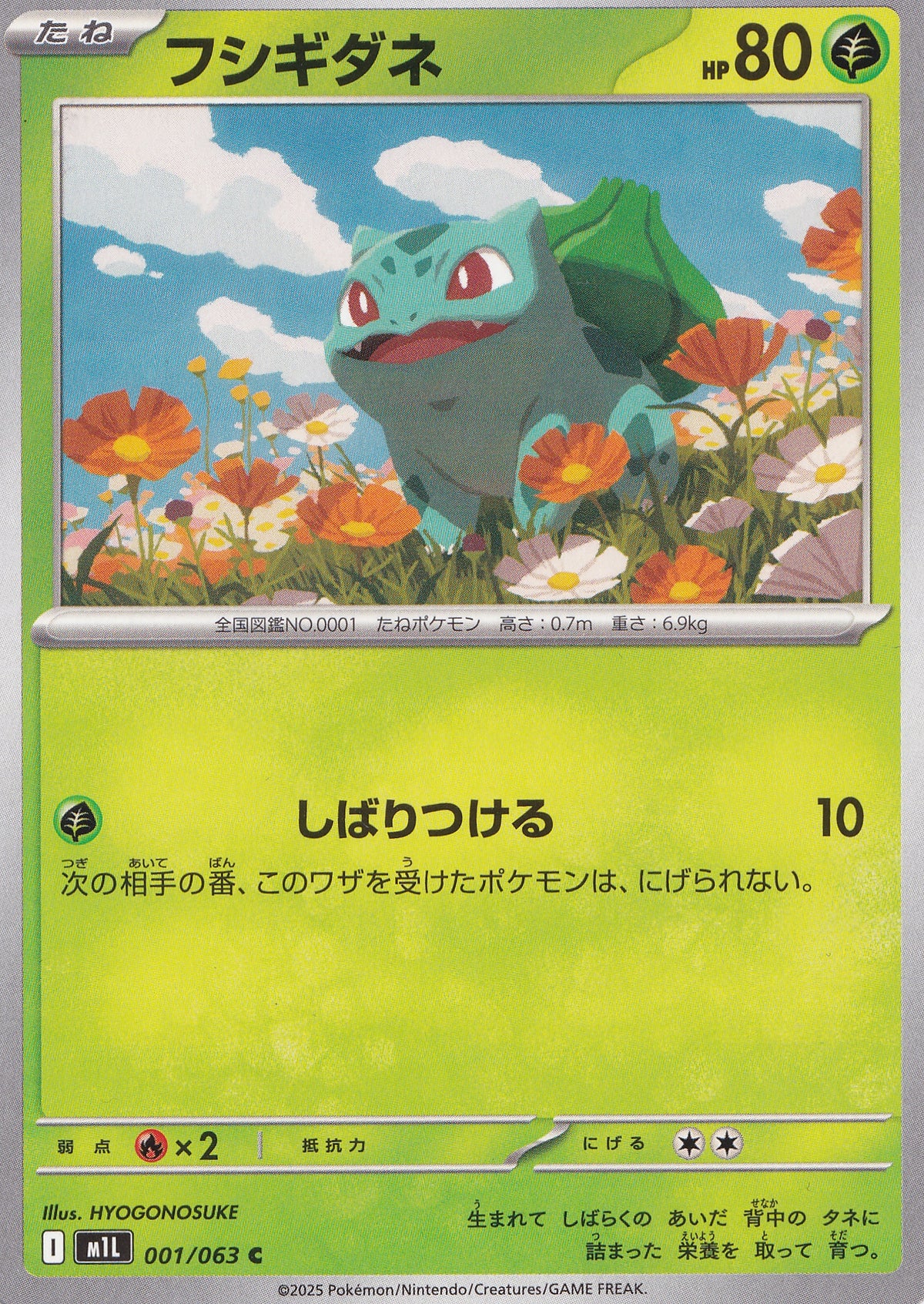 bulbasaur-001-063-m1l-jp-nm.jpg