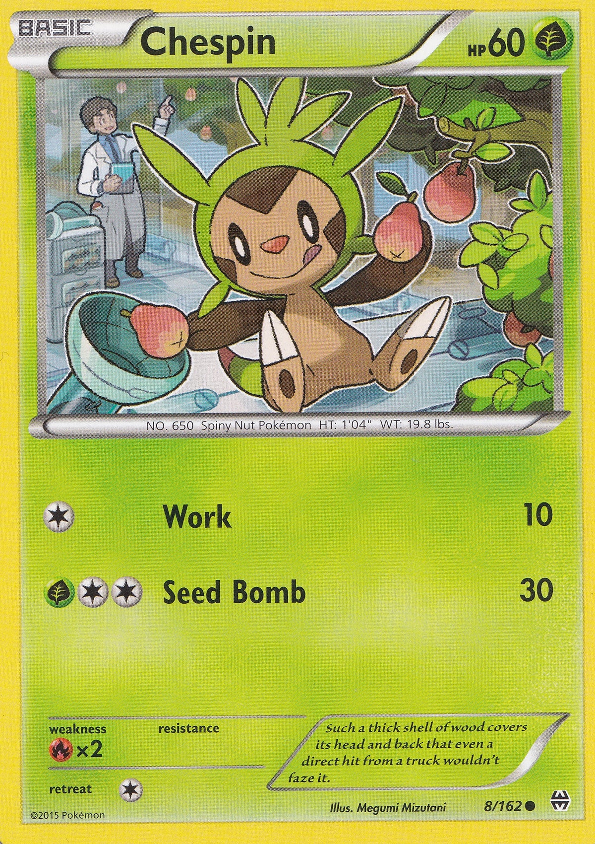 chespin-8-162-bkt-en-nm.jpg