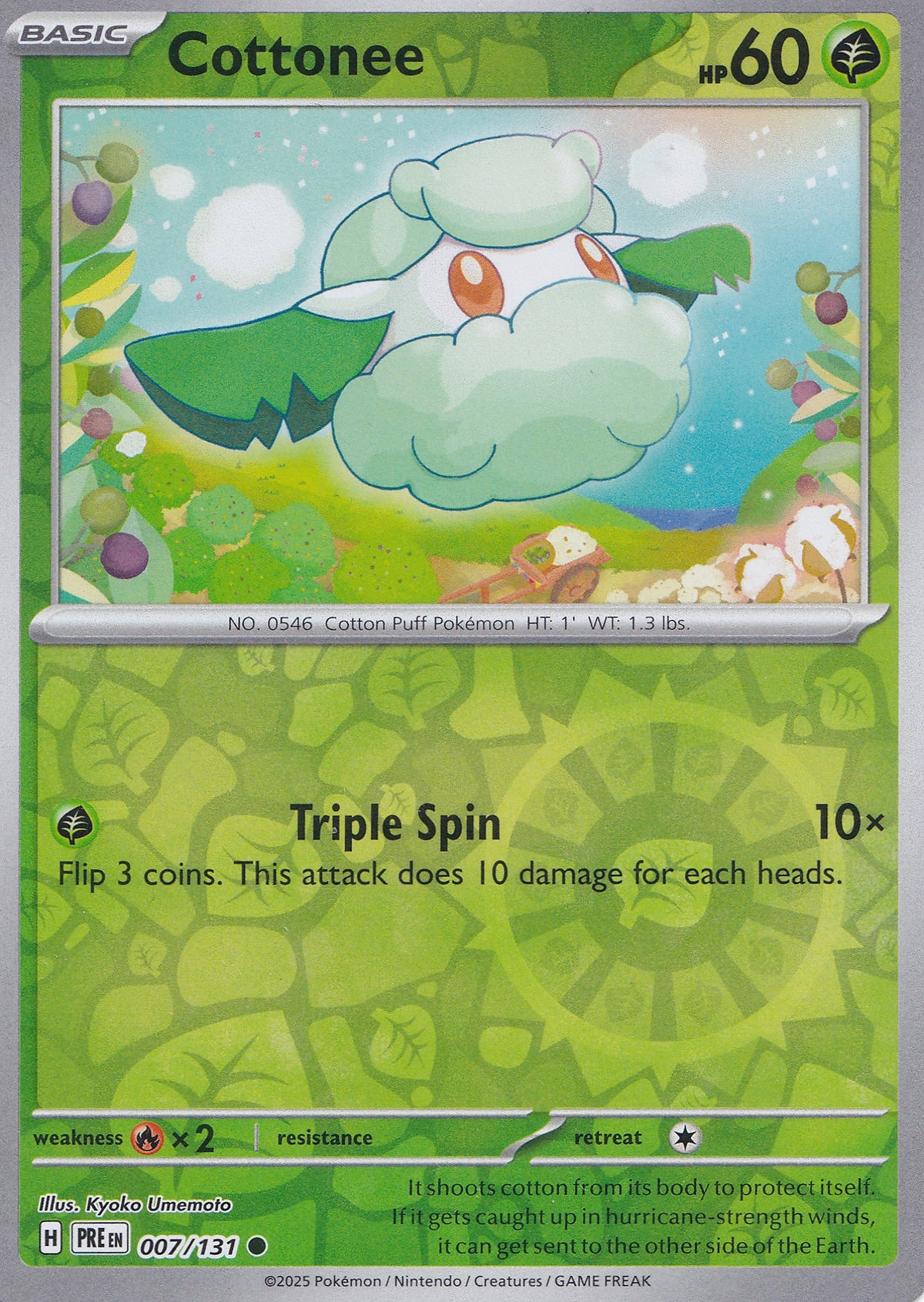Cottonee 007/131 PRE EN RH (NM)