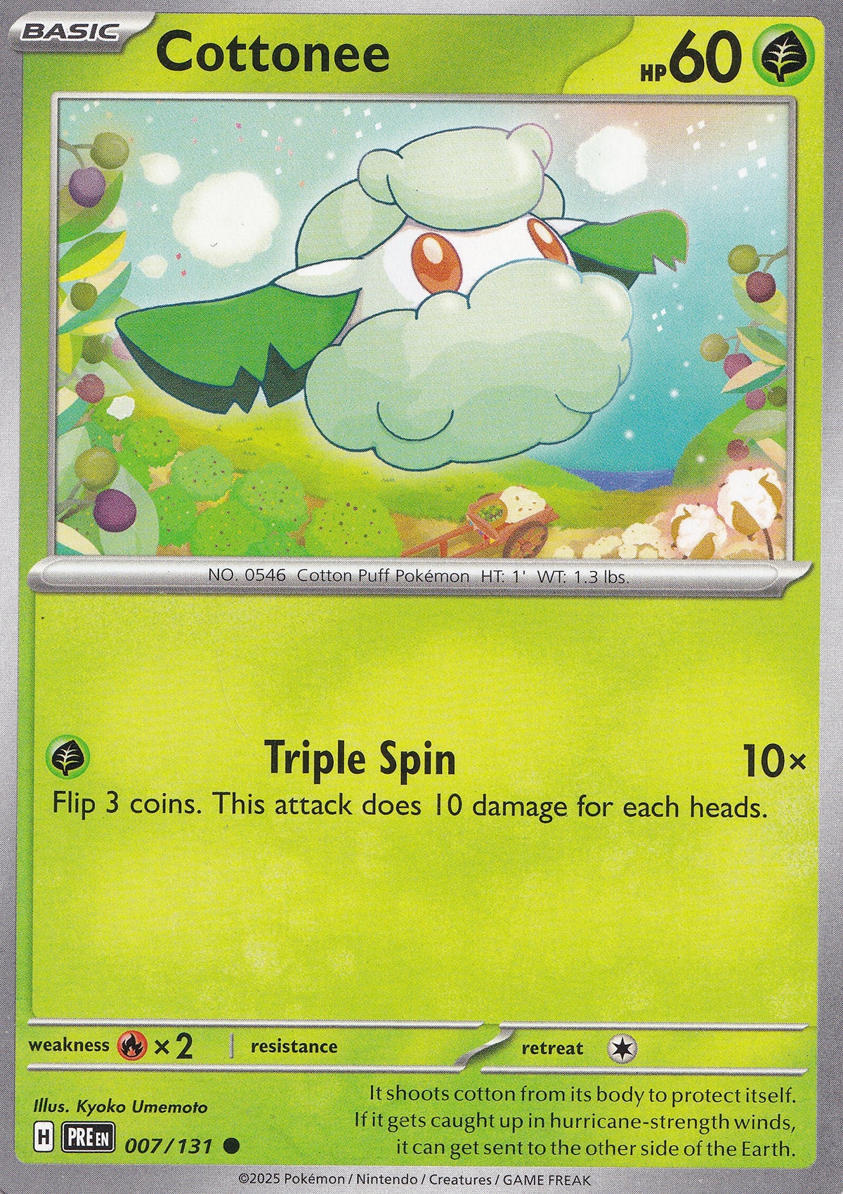 Cottonee 007/131 PRE EN (NM)