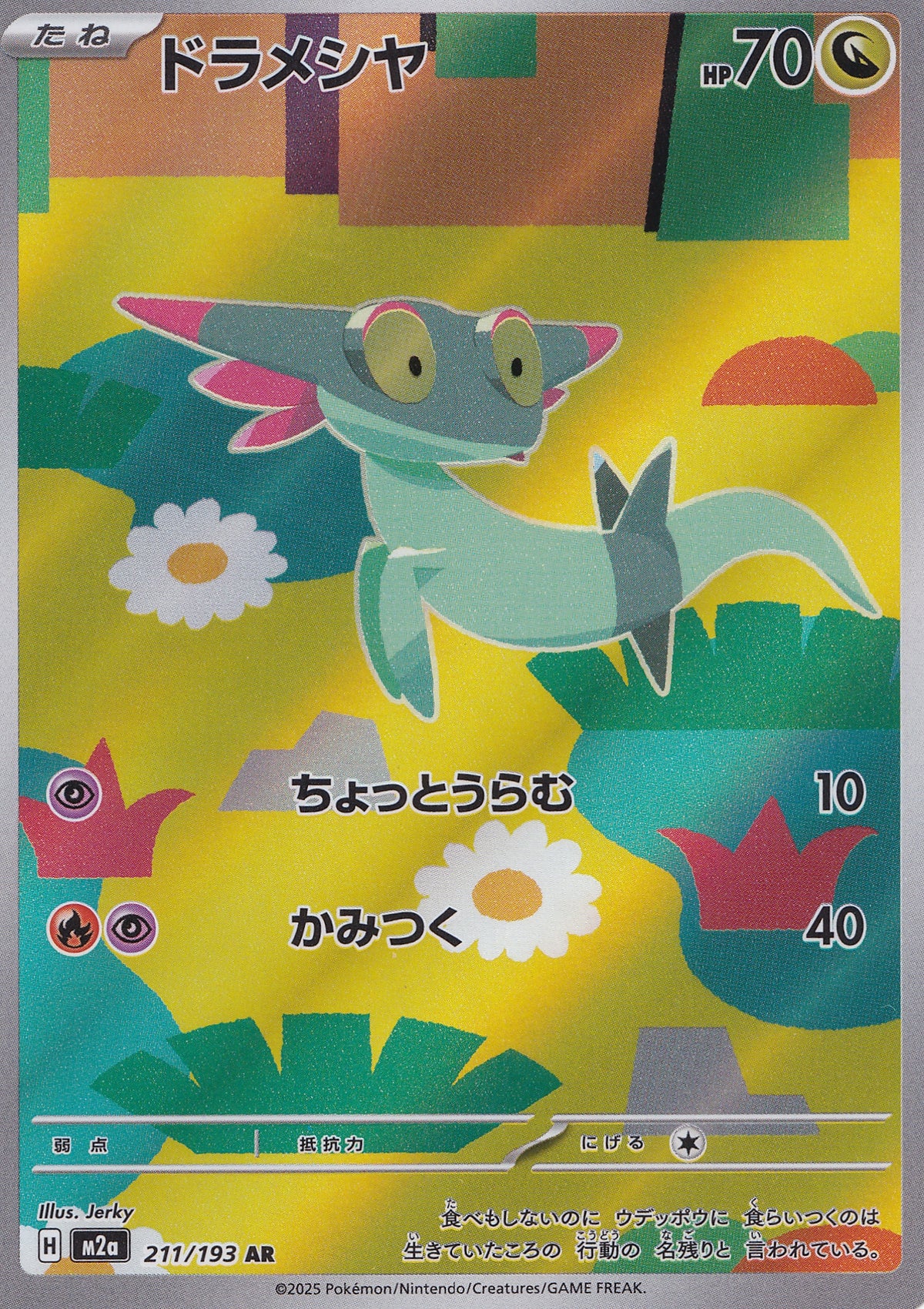 drampa-211-193-m2a-jp.jpg