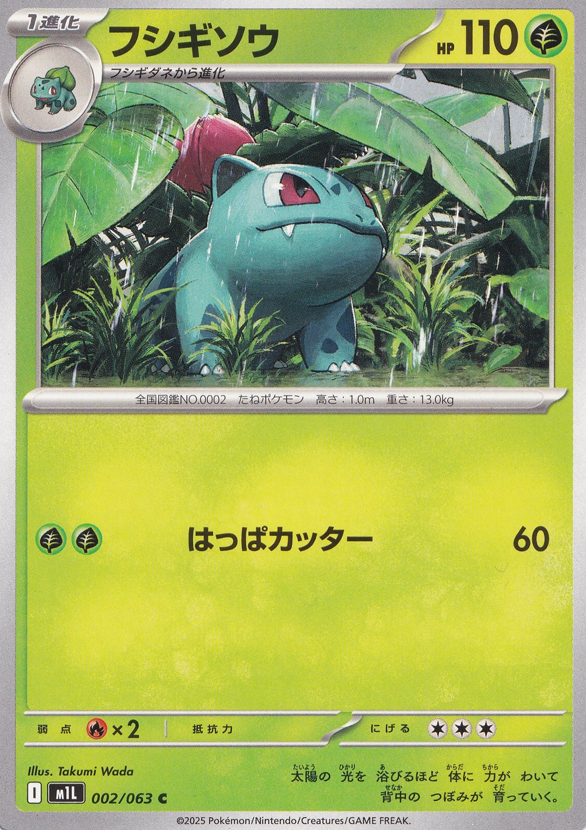 ivysaur-002-063-m1l-jp-nm.jpg