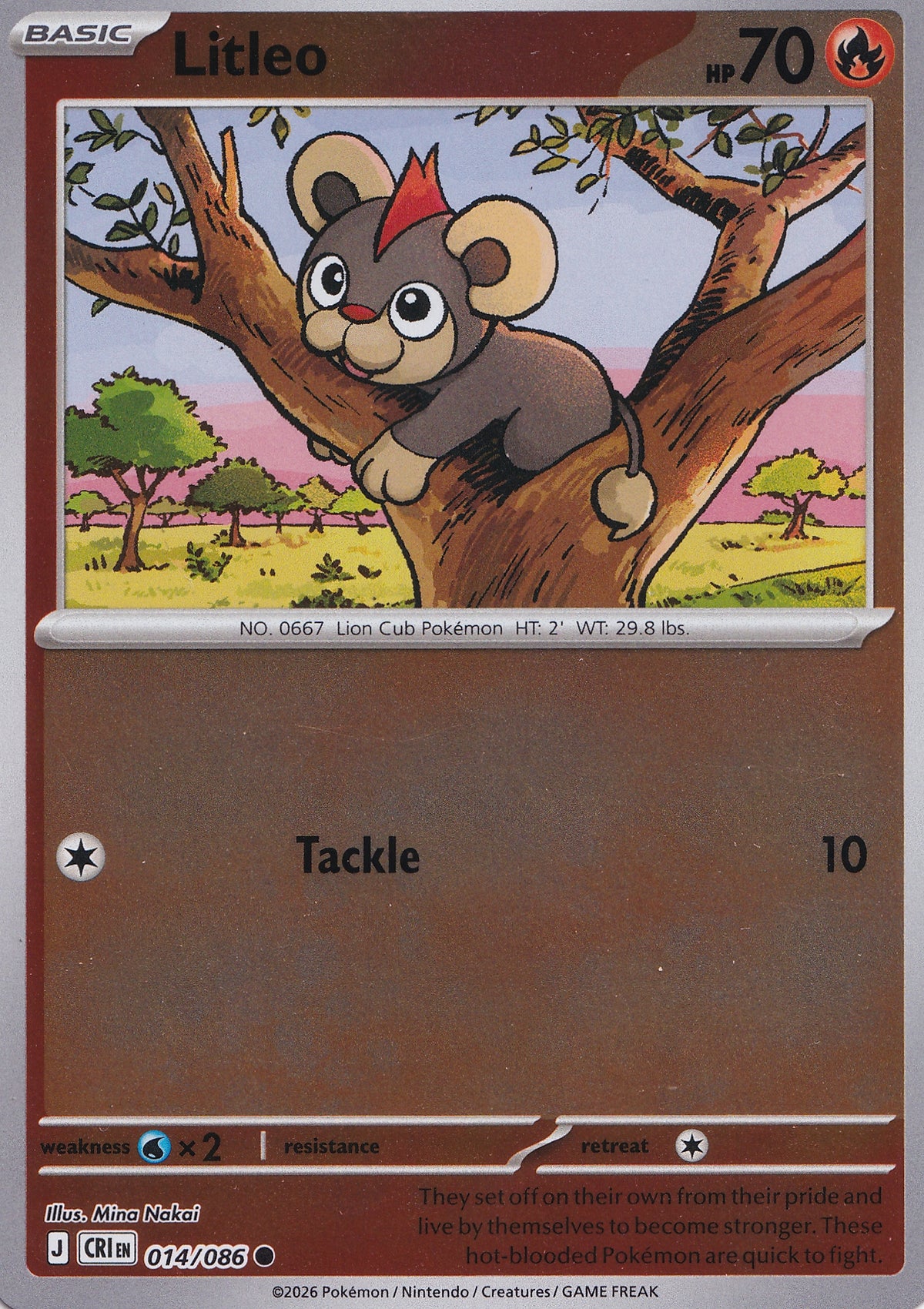 litleo-014-086-eng-2026-nm.jpg