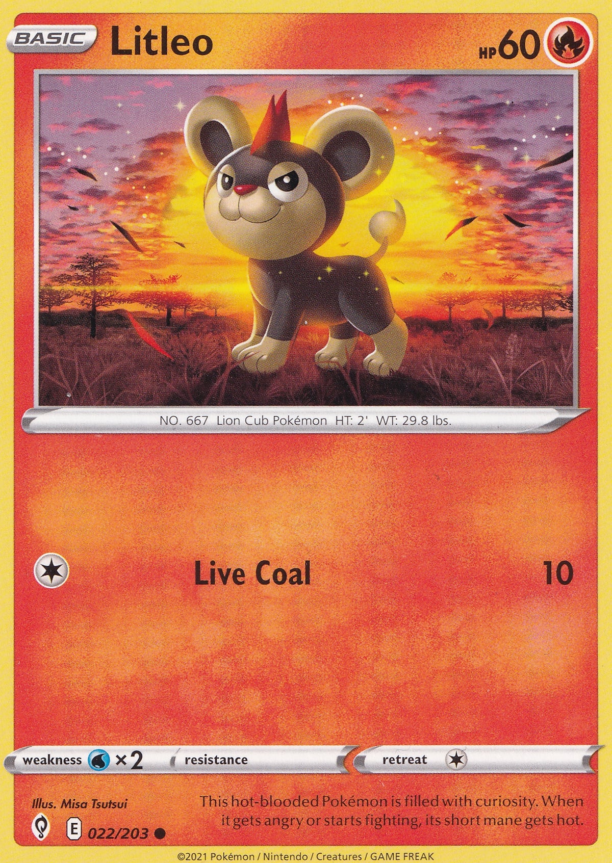 litleo-022-203-evs-eng-2021-nm.jpg