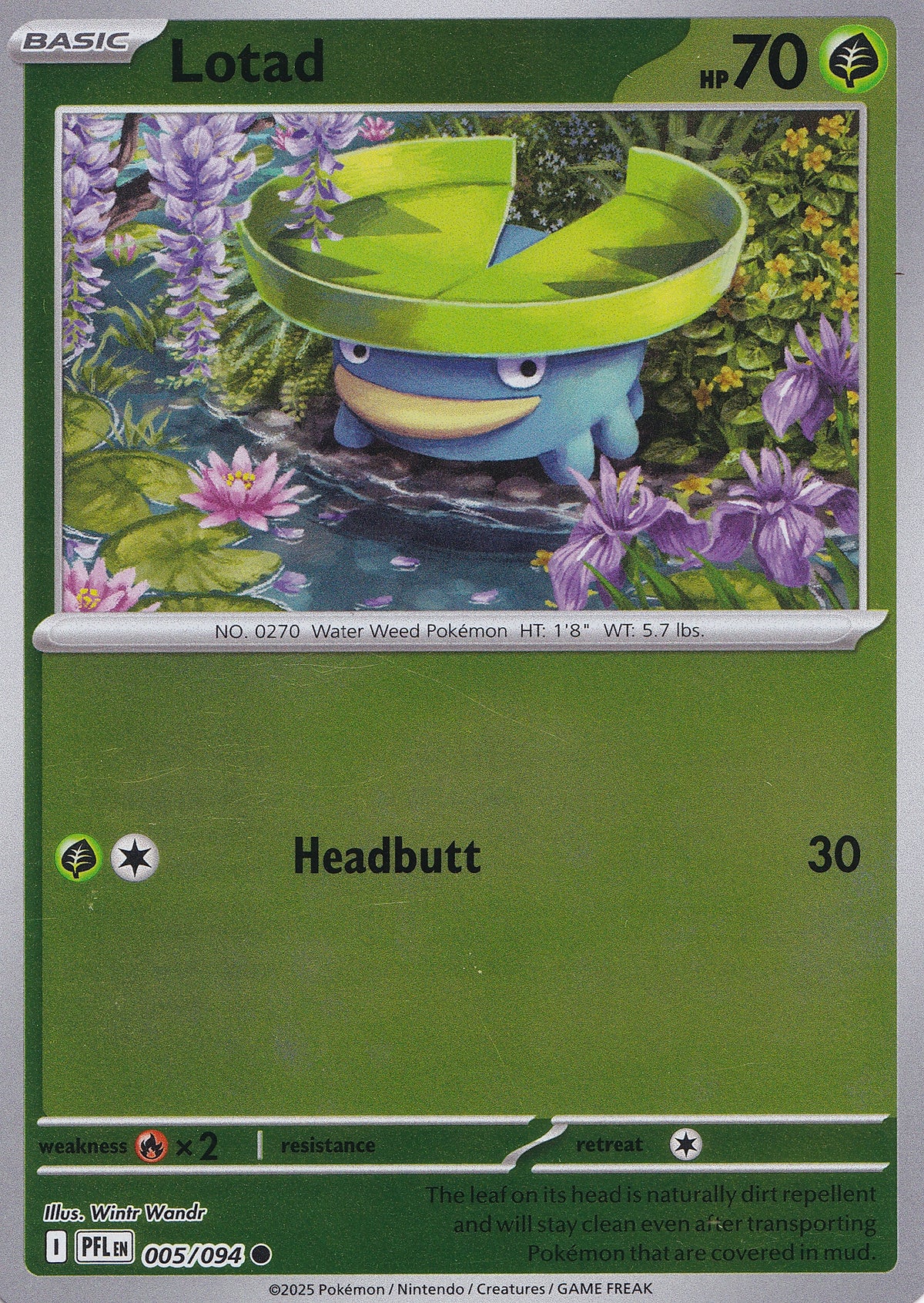 Lotad 005/094 PFL EN RH (NM)