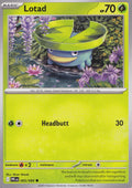 Lotad 005/094 PFL EN (NM)