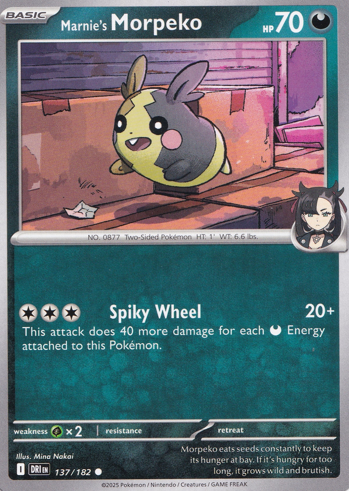 marnie's-morpeko-137-182-dri-eng-2025-nm.jpg