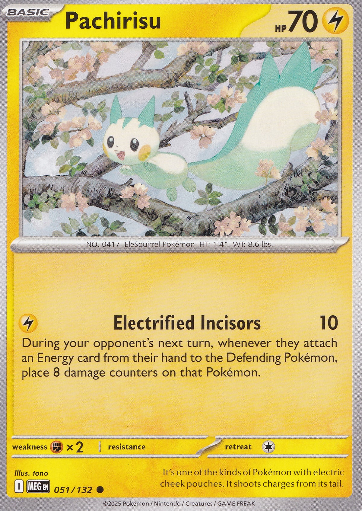 pachirisu-051-132-meg-eng-2025-nm.jpg
