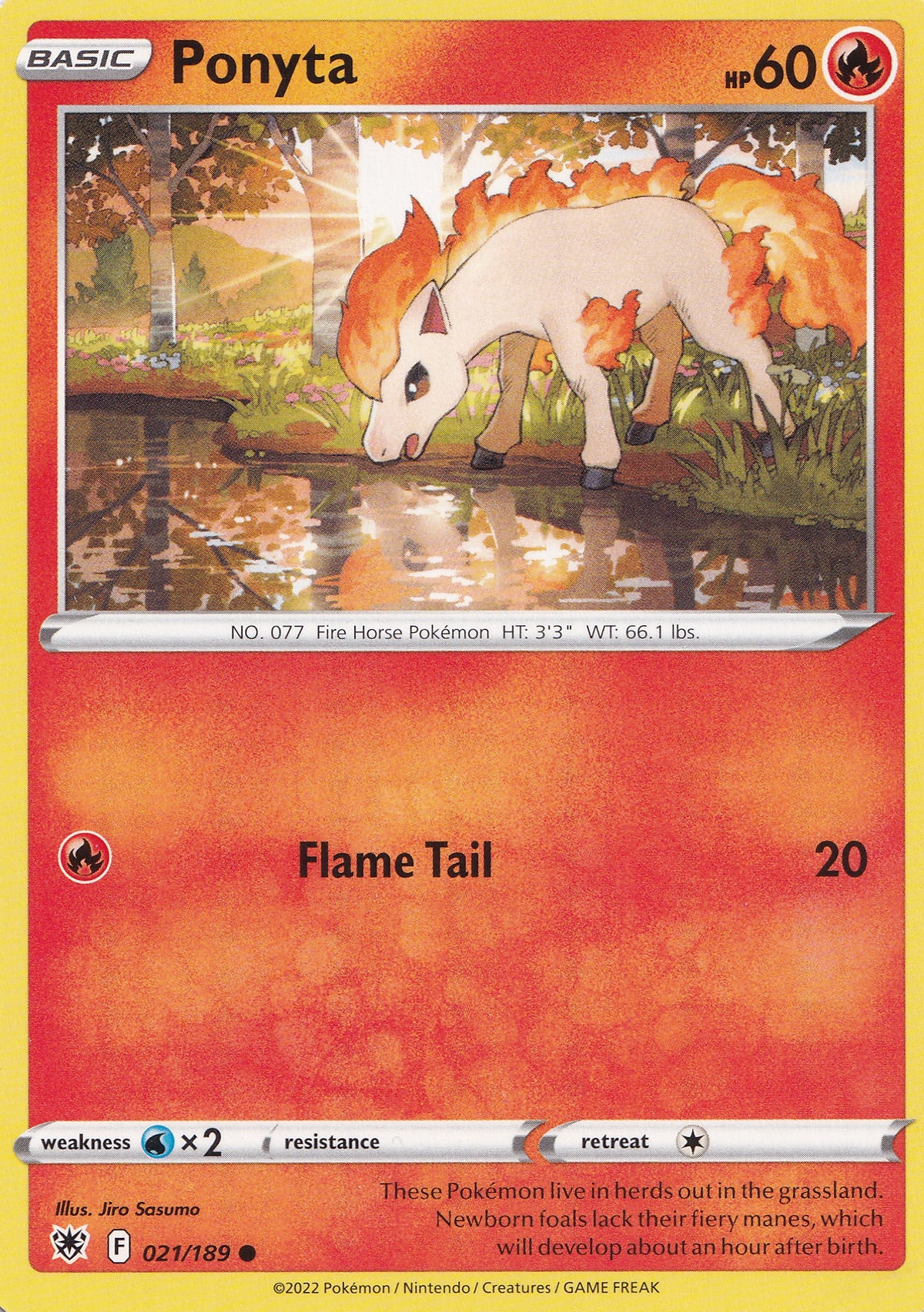 ponyta-021-189-fst-eng-2022-nm.jpg