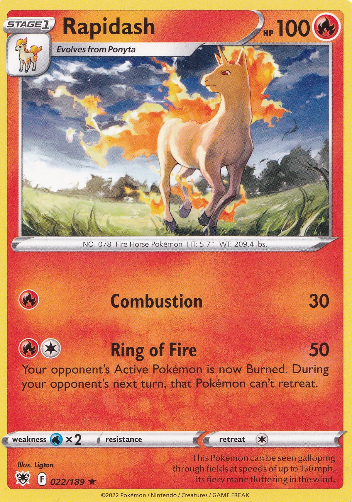 rapidash-022-189-asr-eng-nm.jpg