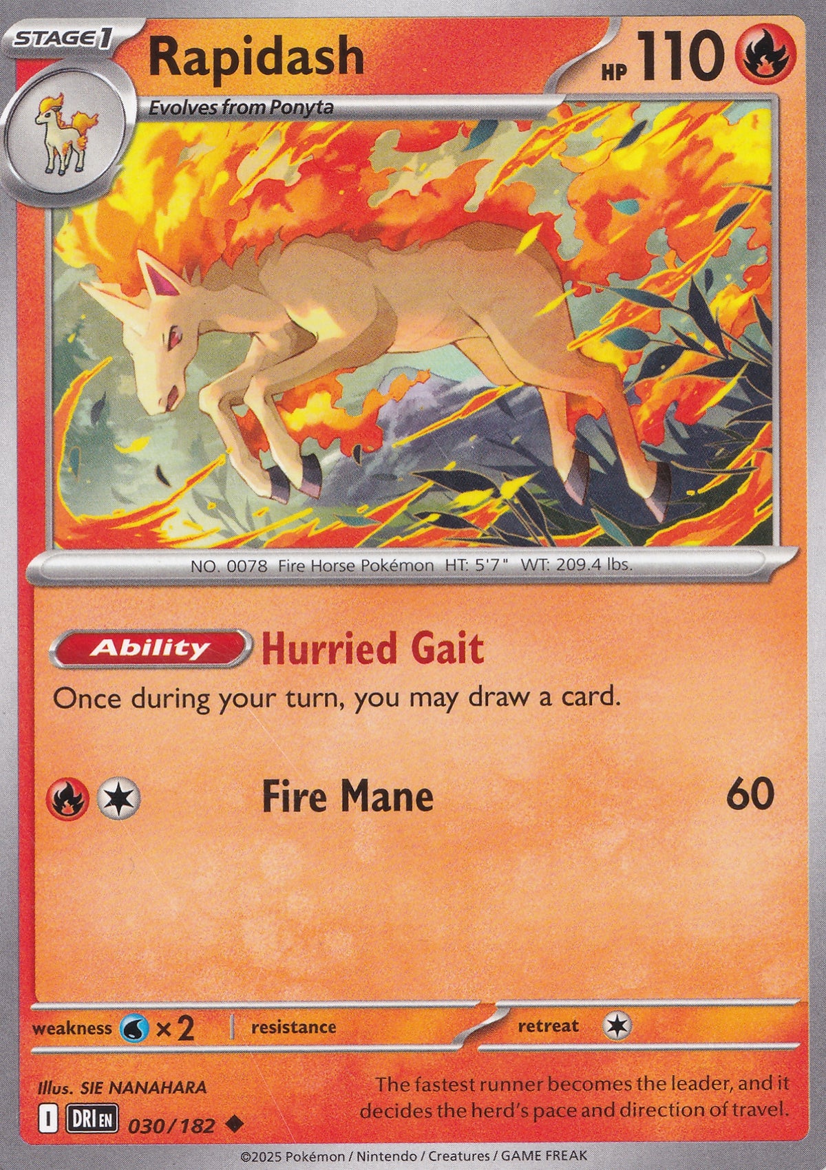 rapidash-030-182-dri-eng-2025-nm.jpg